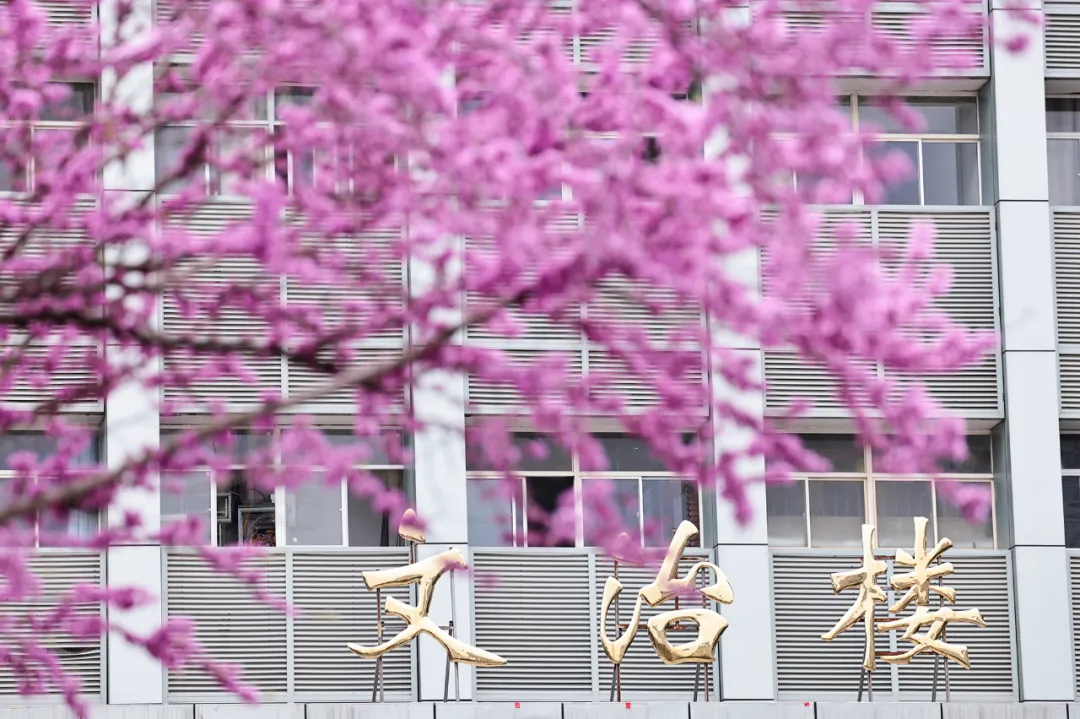 中南财经政法大学