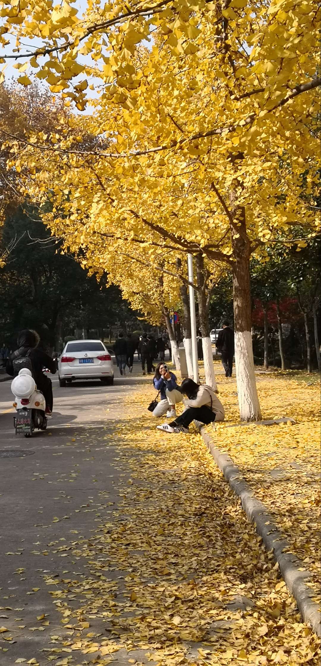 湖北理工学院