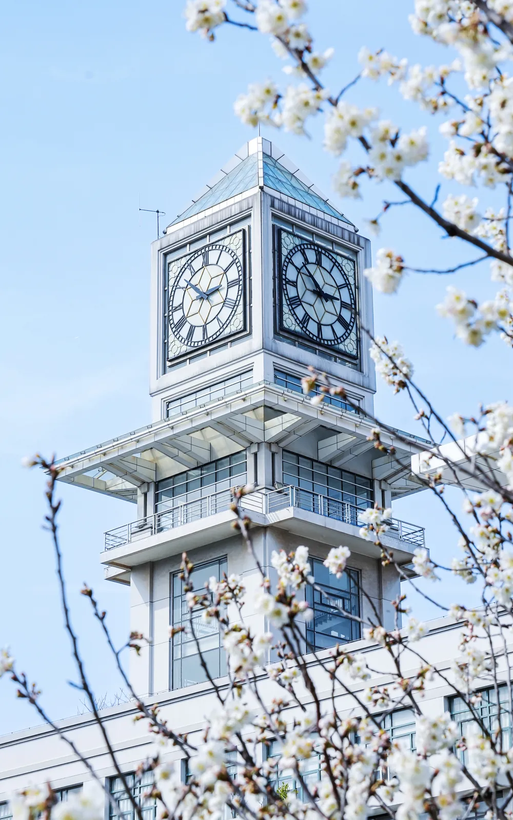 中南财经政法大学