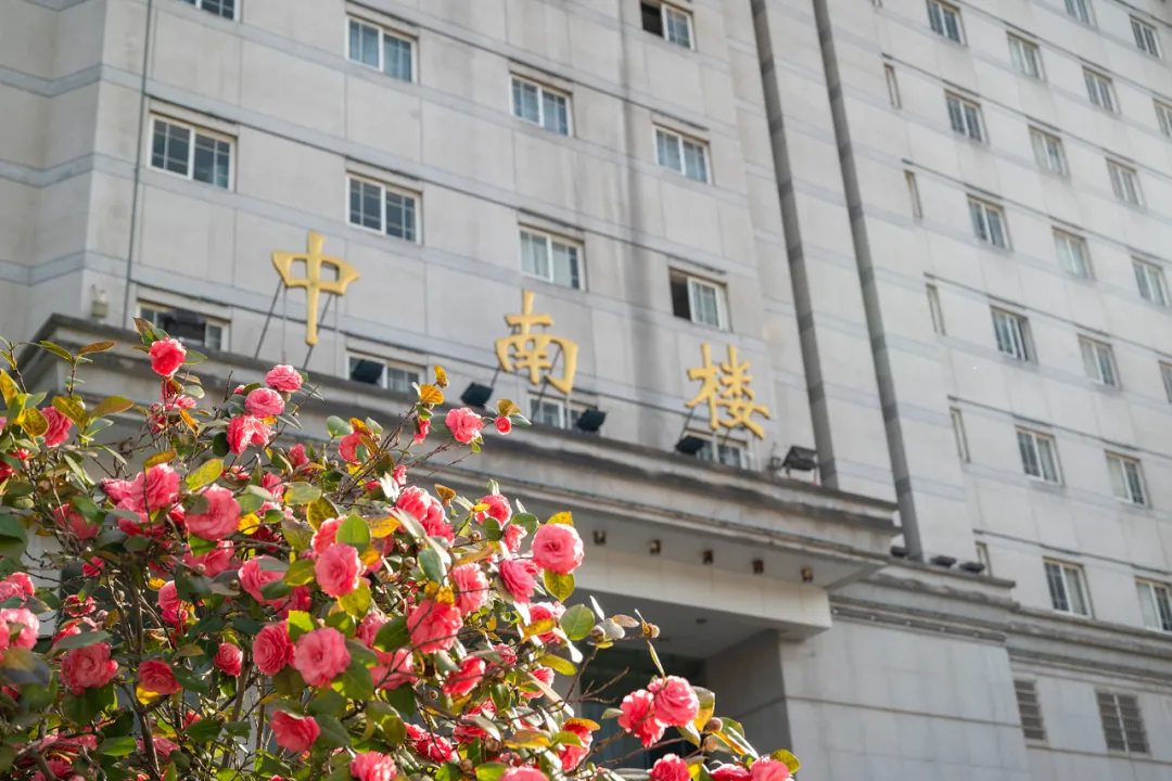 中南财经政法大学