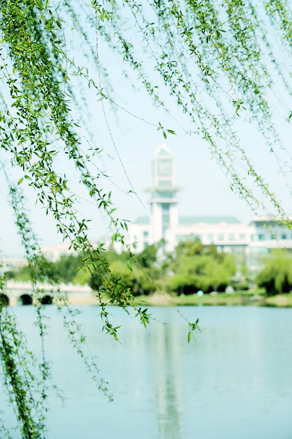 中南财经政法大学