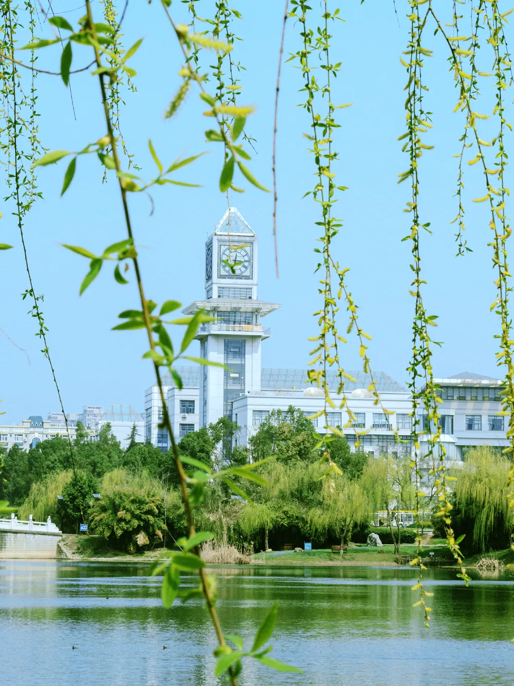 中南财经政法大学
