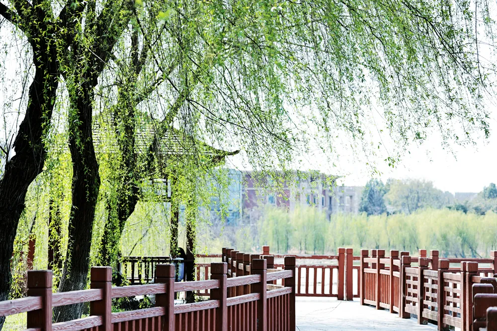 中南财经政法大学